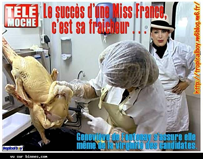 Voici les secrets des Miss France !